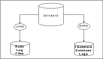 Figure 12.1 RVWR Background process and Flashback Database Logs